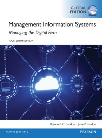 Management Information Systems MANAGING THE DIGITAL FIRM